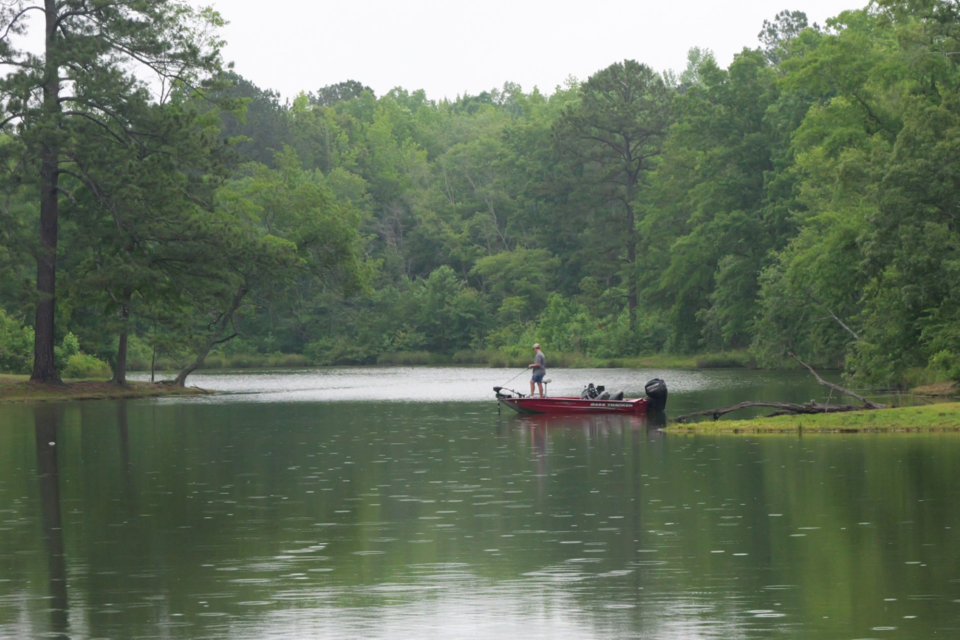 fishing-for-free