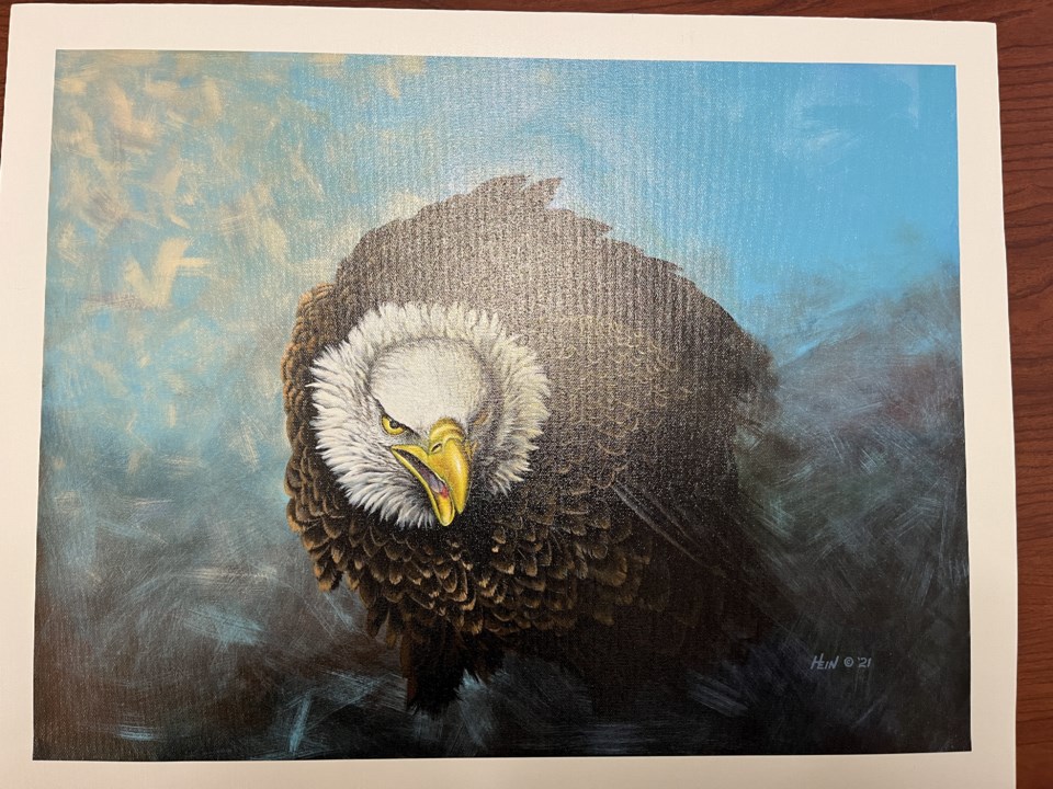 freedom-stevehein2021