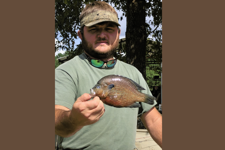 freshwater-fish-state-record-spotted-sunfish-jamie-boyett-ogeechee-river-june-2024