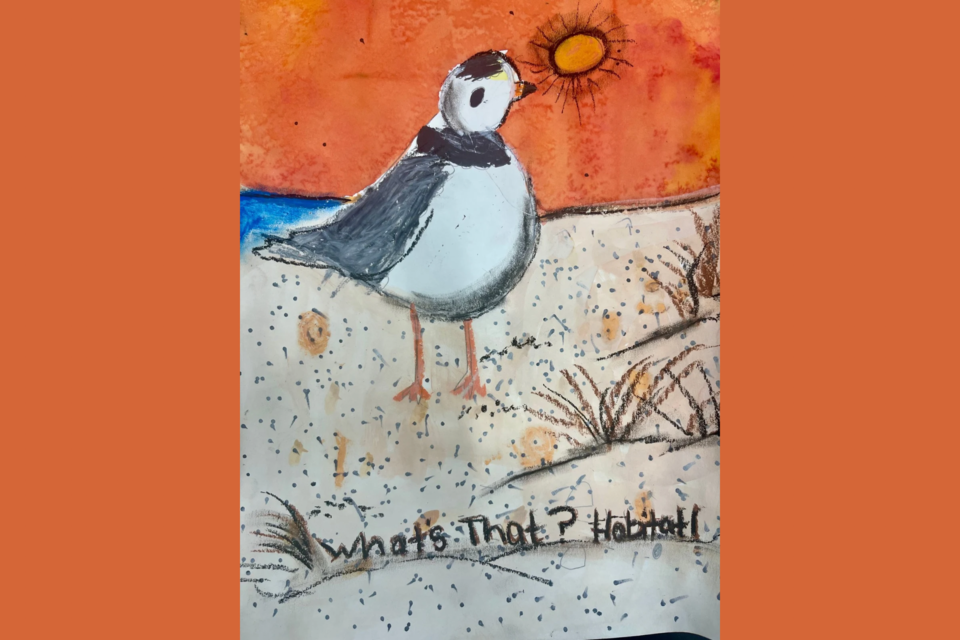 give-wildlife-a-chance-poster-contest-first-place-division