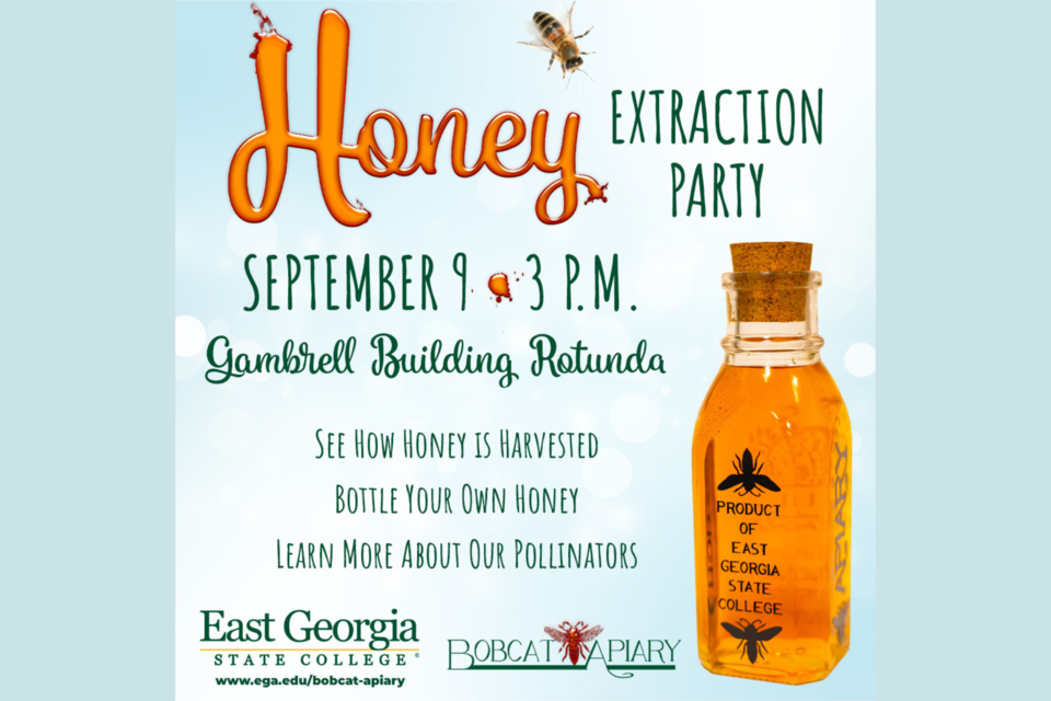 honey-extraction-party-1
