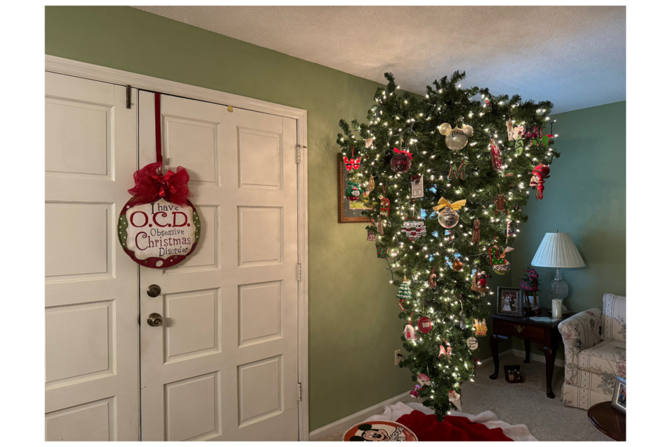 wiggins-tree-farm-6