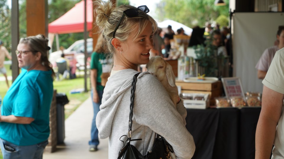 market-last-pic