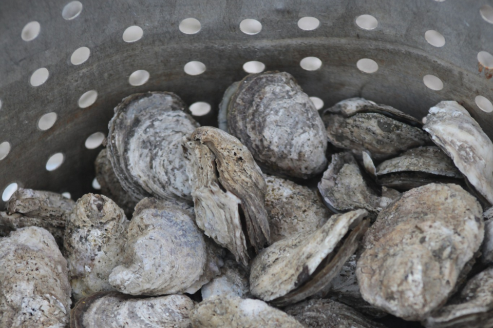 ork-oysterroast