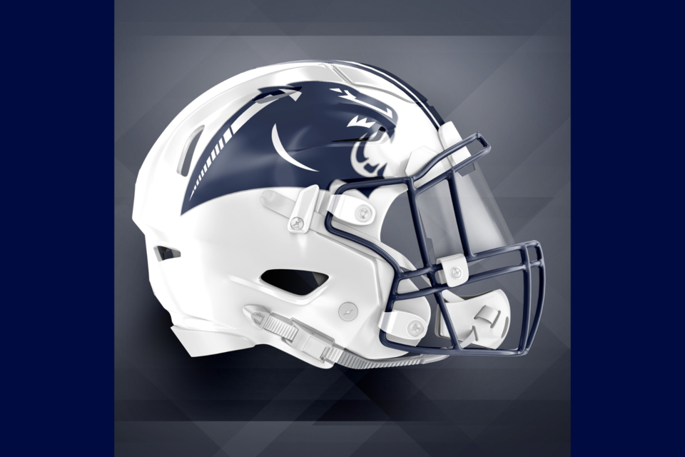 pantherfootball-feature