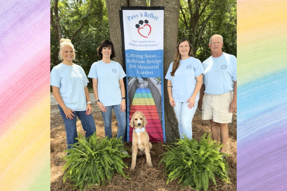 pawsrainbowbridgefeature