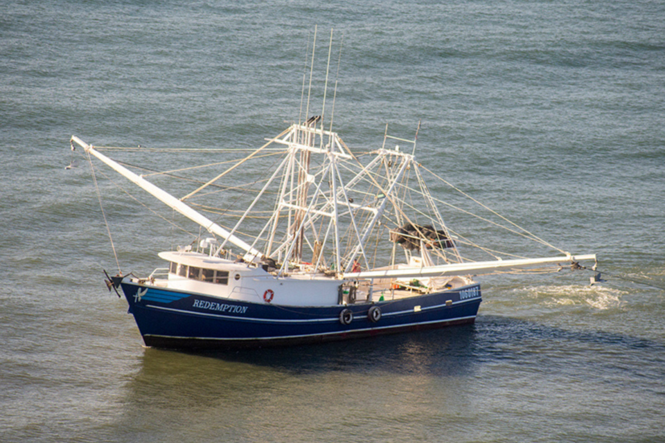 shrimpseason0124
