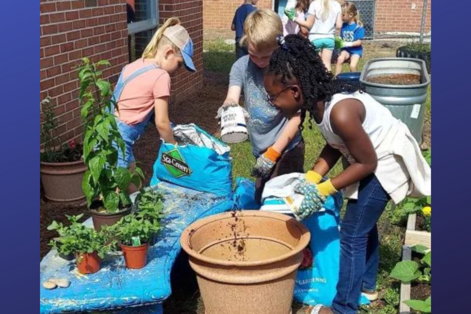 stilsonpollinatorgarden