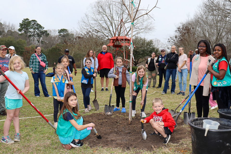 tree-rebate-cover