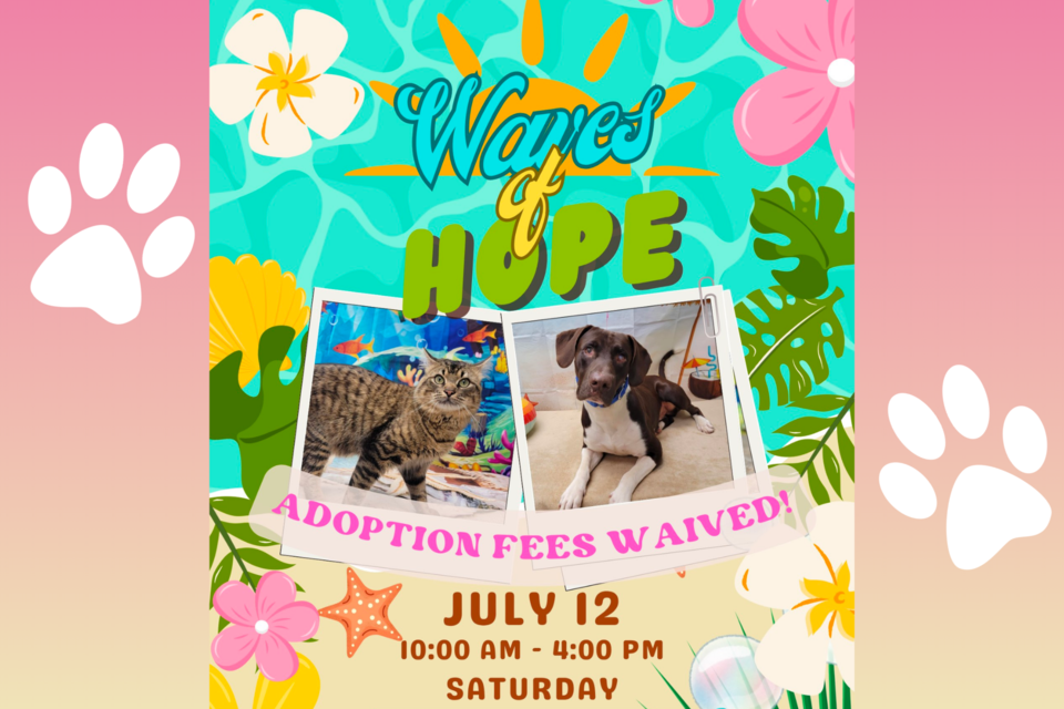 waves-of-hope-cover-2025