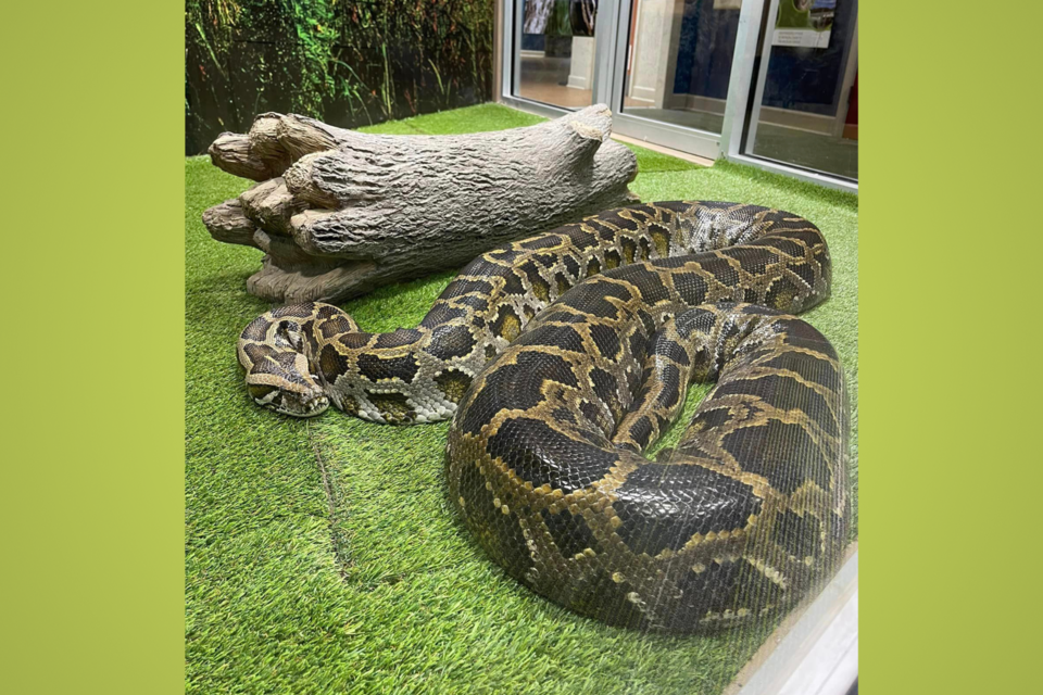 xena-wildlifecenter-feature