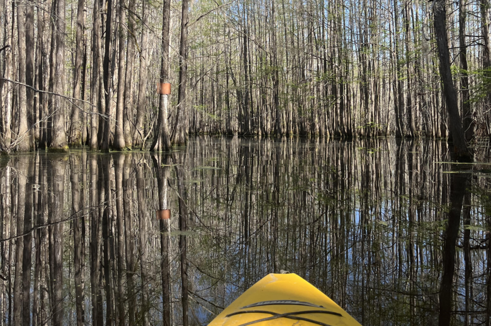 blackwater-reserve2