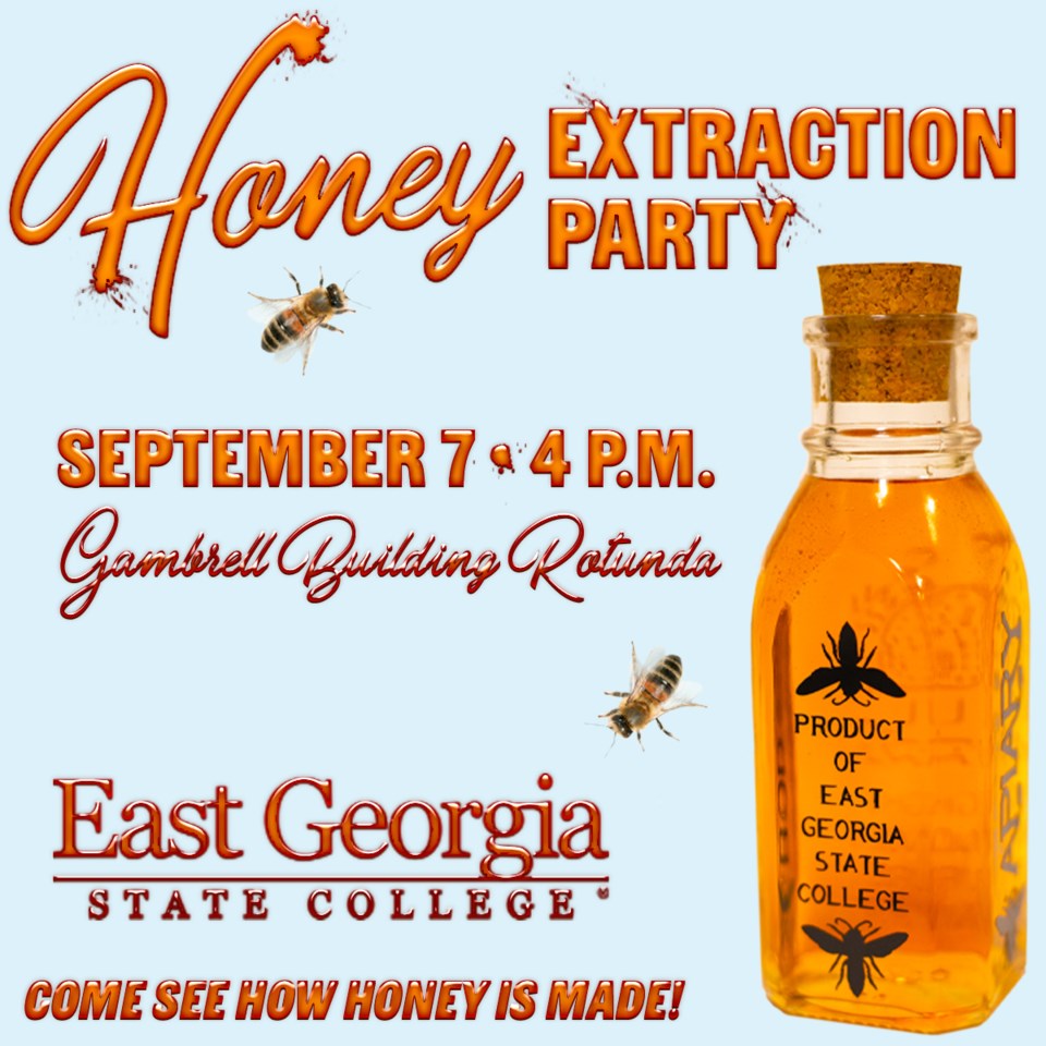 honey-extraction-082423