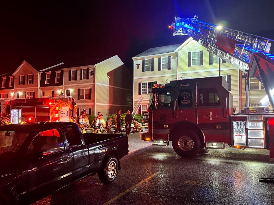 051125-sfd-copper-beech1