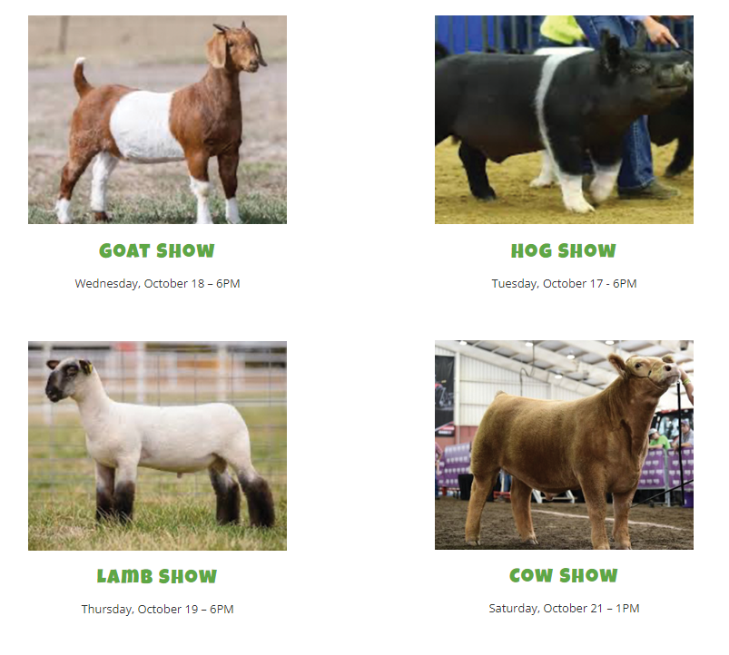 livestock-1