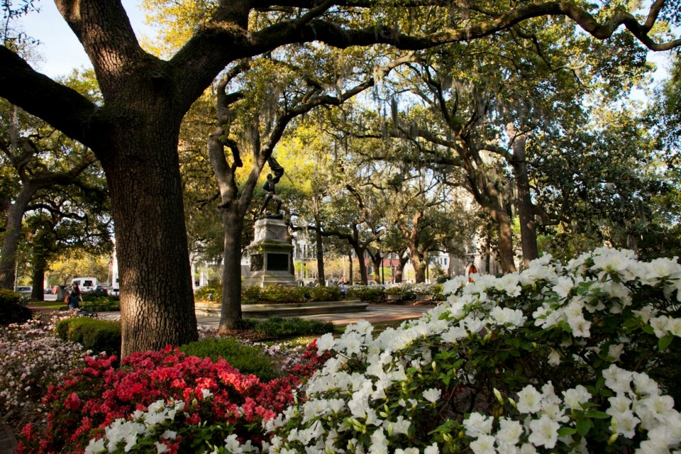 photo-downtown-sav