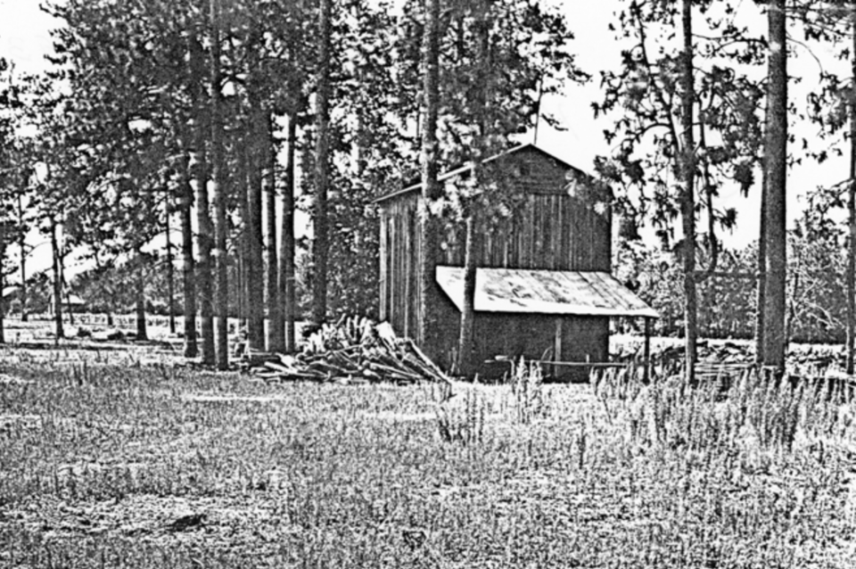 johnbrannen