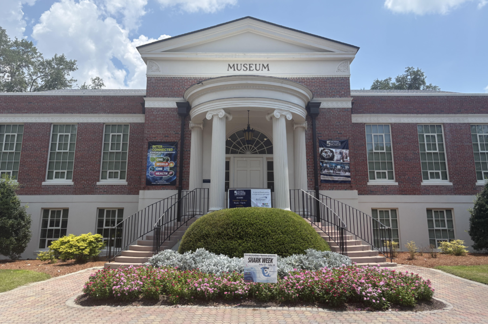 museum