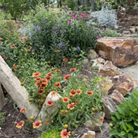 20240705martha-wood