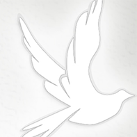 obit-dove