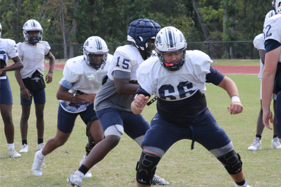 phsfb_1