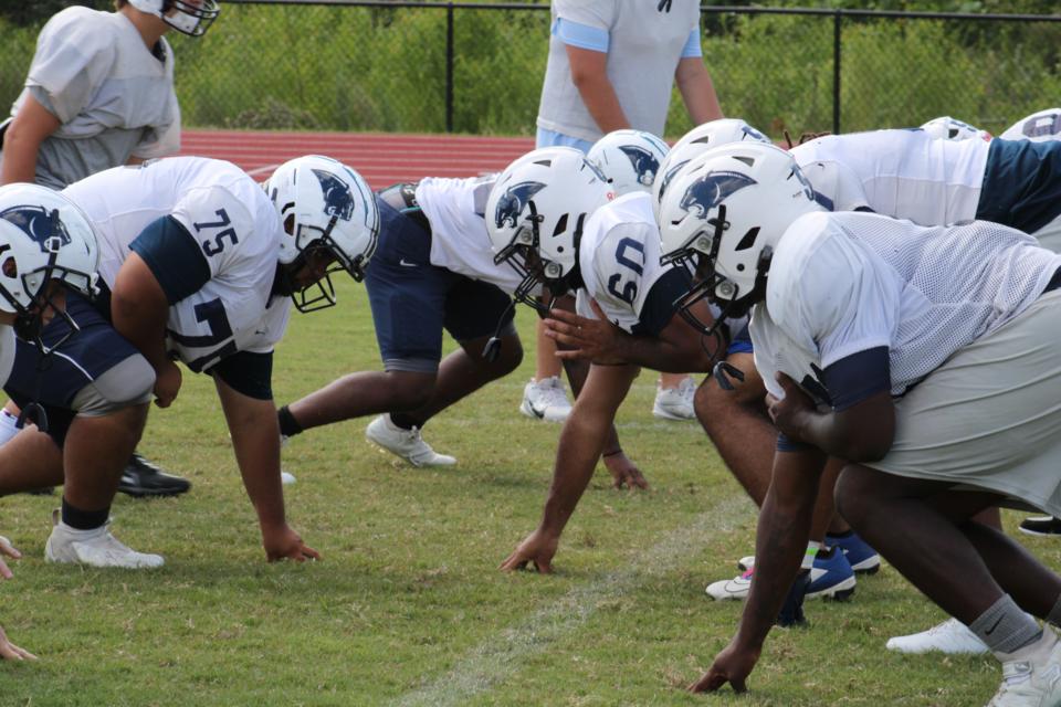 phsfb_2