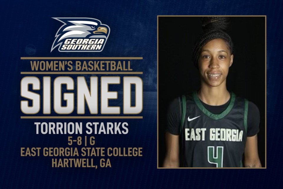 signed-torrion-starks