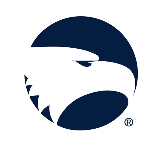 GSU LOGO