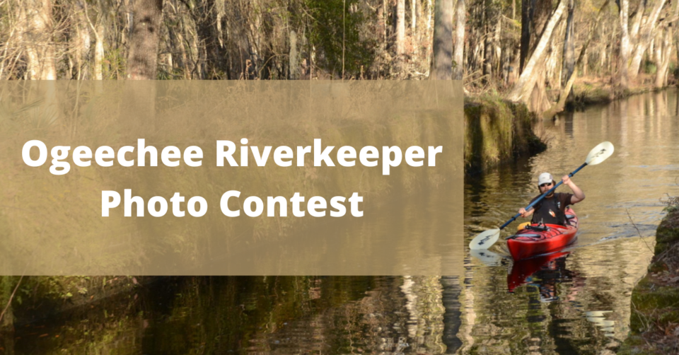 Ogeechee Riverkeeper Photo Contest