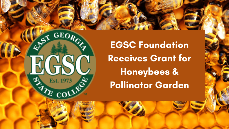 EGSC Foundation Receives Grant for Honeybees, Pollinator Garden