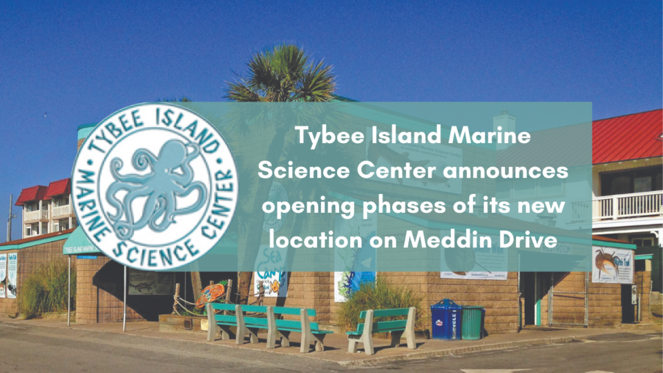 Tybee Island Marine Science Center announces opening phases of its new location on Meddin Drive
