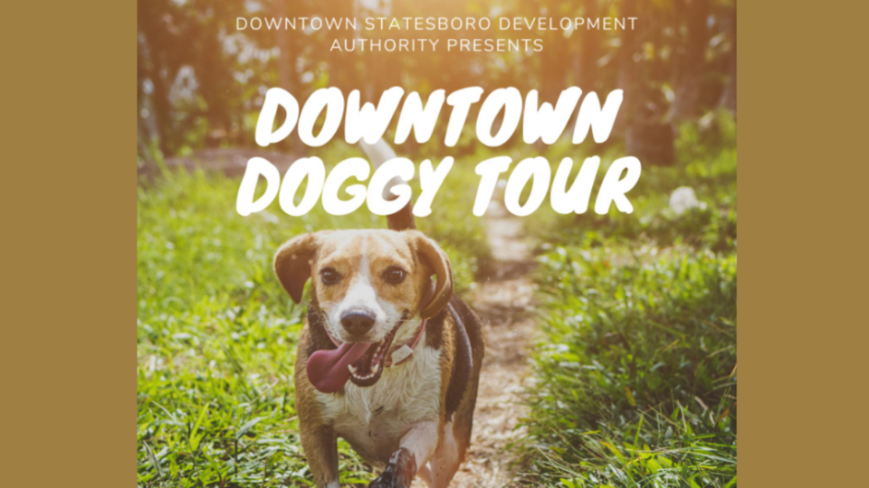 DOGGY-TOUR