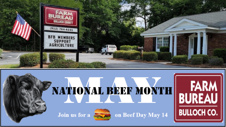 Beef-Day-Header