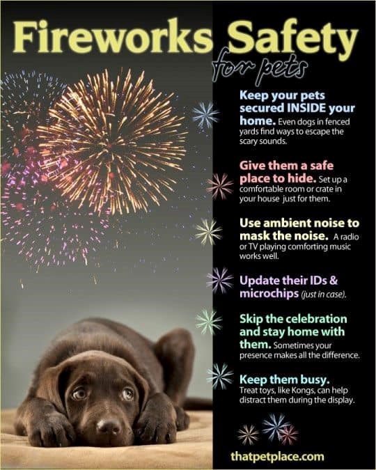 fireworks safety