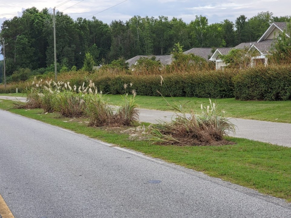 S&S Greenway damage