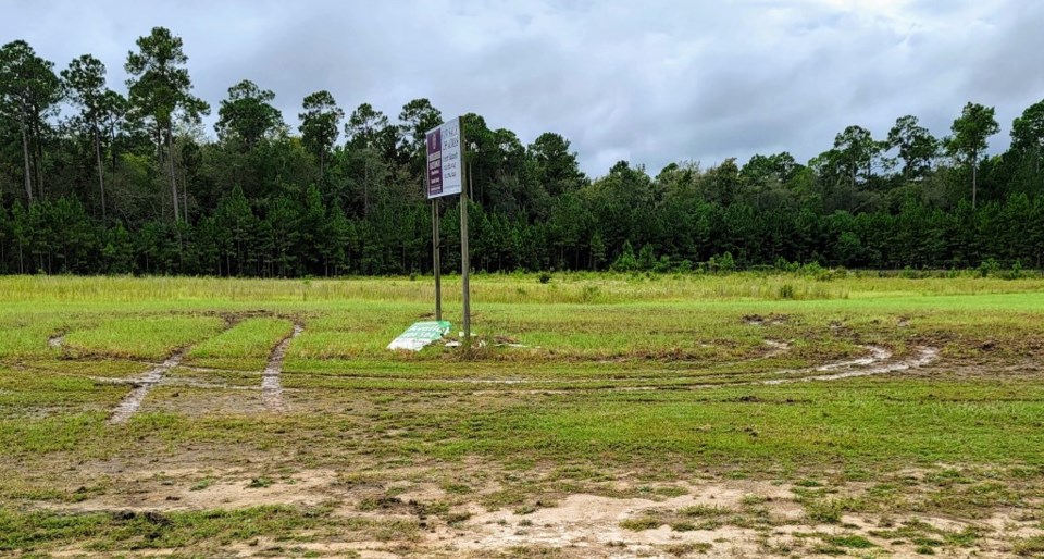 S&S Greenway grass