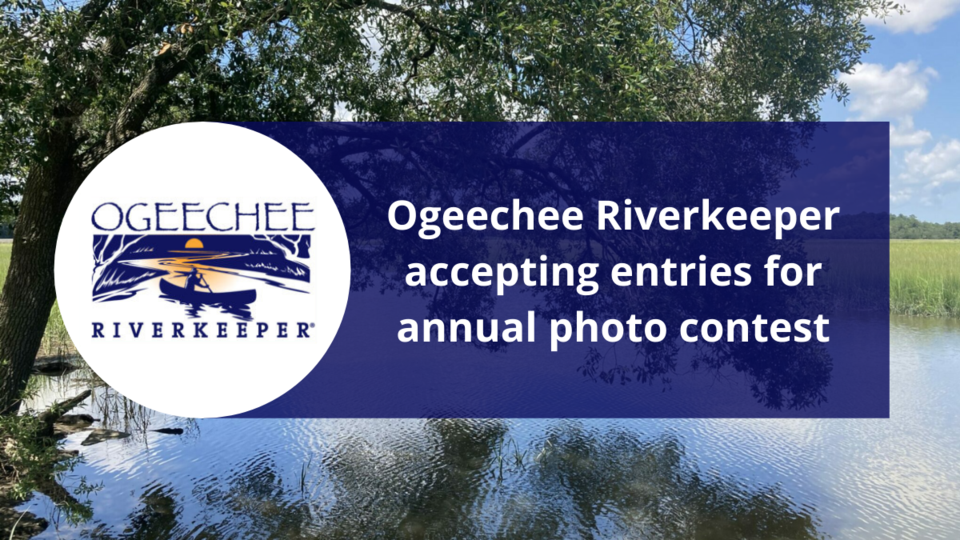 Ogeechee Riverkeeper accepting entries for annual photo contest
