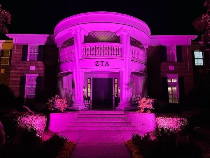 ZTA Pink house