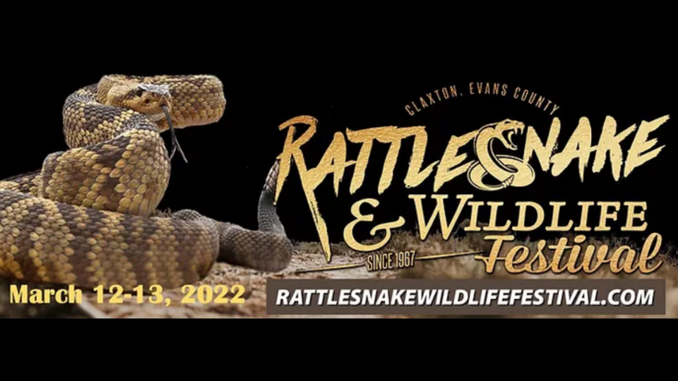 Rattlesnake-festival