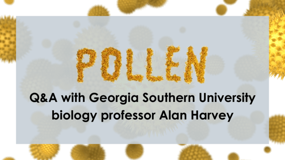 pollen