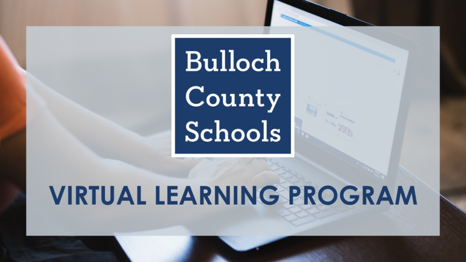 virtual learning program