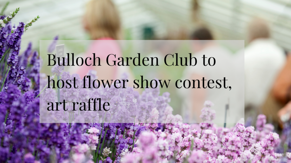 Bulloch Garden Club to host flower show contest , art raffle