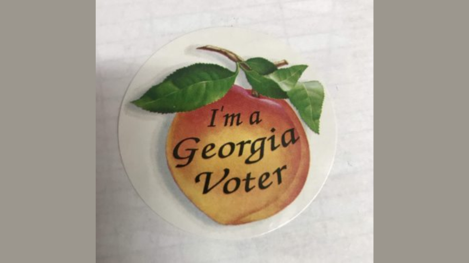 Georgia Voter