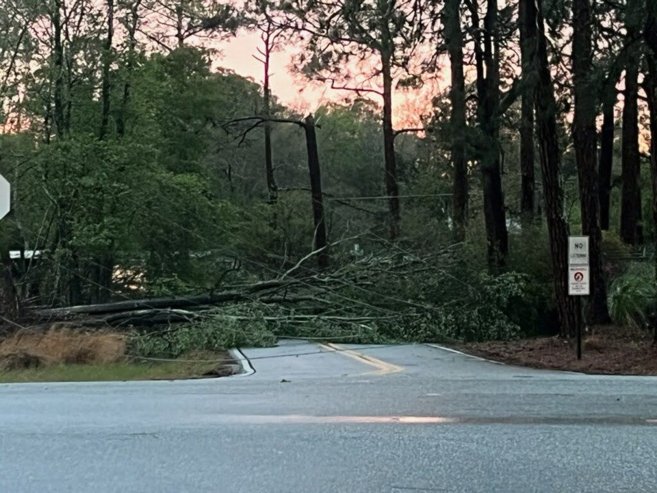 Trees Down