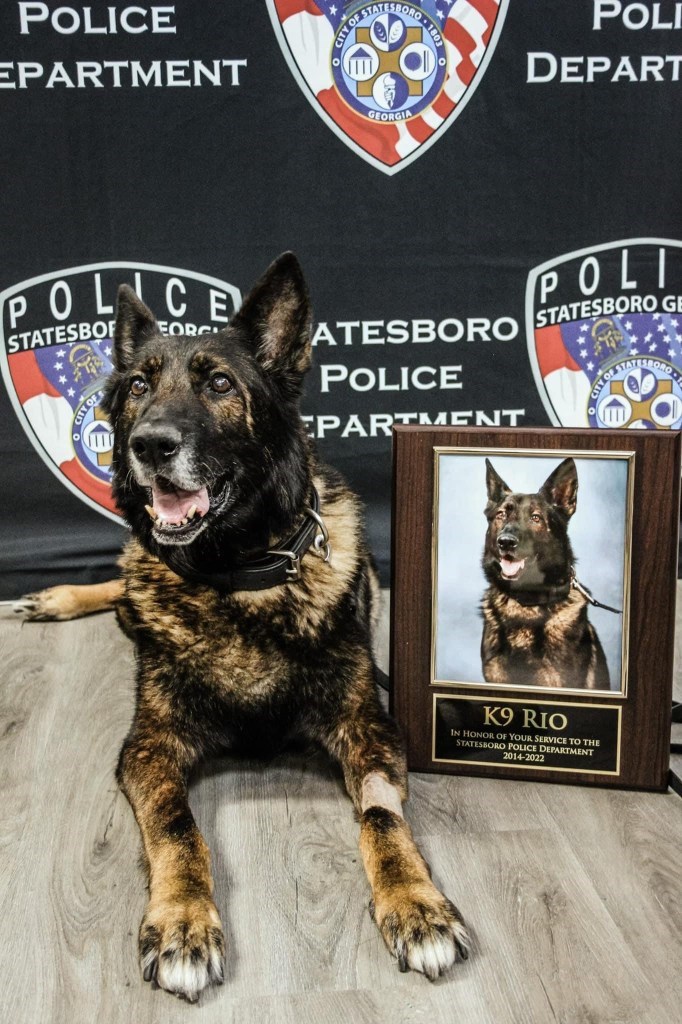 K9 Rio