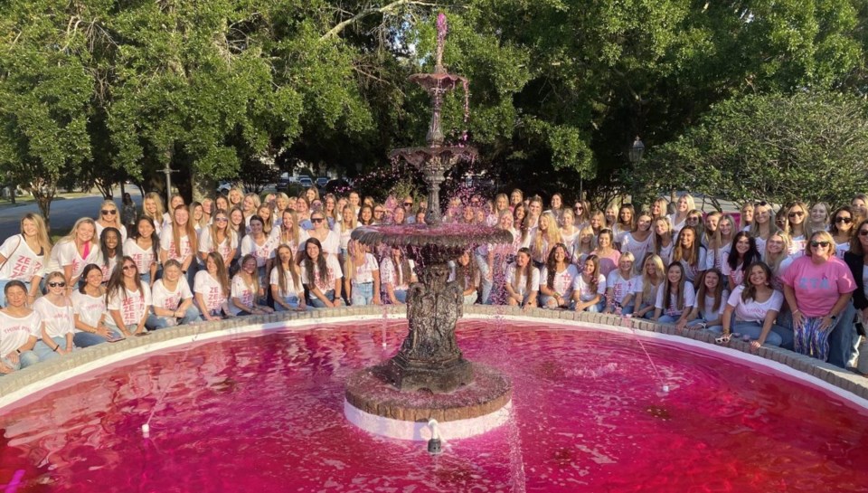 ZTApinkout