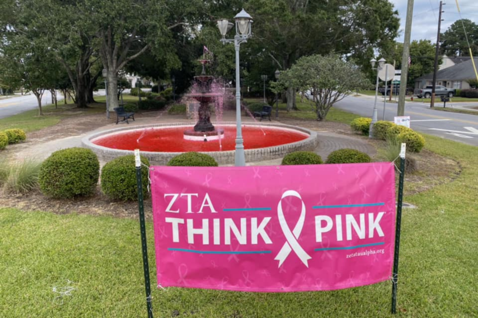 ZTA Think Pink