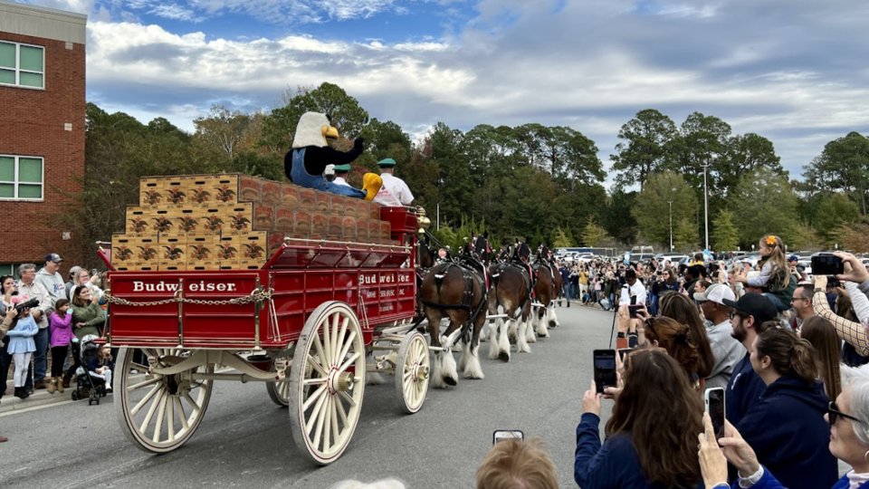 GUS-Clydesdales