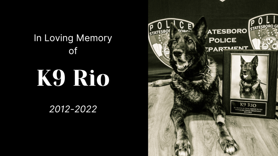 K9 Rio