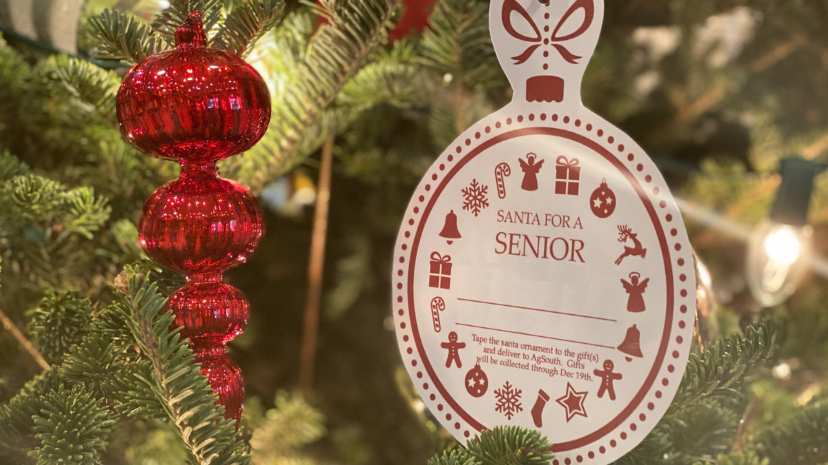 Santas for Seniors 2022 – MealsOnWheelsEastTexas